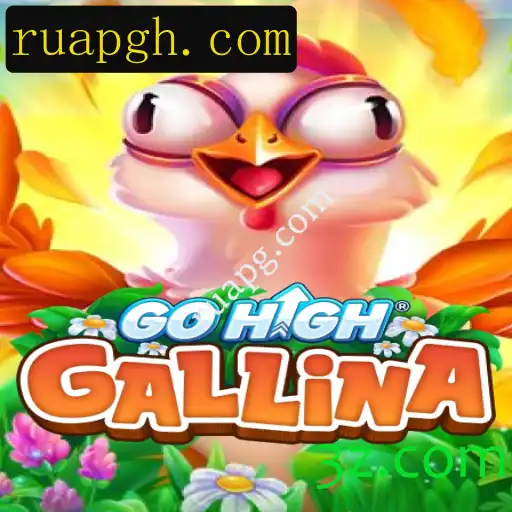 Descubra o Fascinante Mundo de GoHighGallina